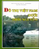 Ebook Đô thị Việt Nam dưới thời Nguyễn: Phần 2 - Nguyễn Thừa Hỷ, Đỗ Bang, Nguyễn Văn Đăng