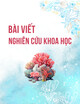 Những phát hiện ban đầu về nhóm tháp Chăm Khương Mỹ - Quảng Nam